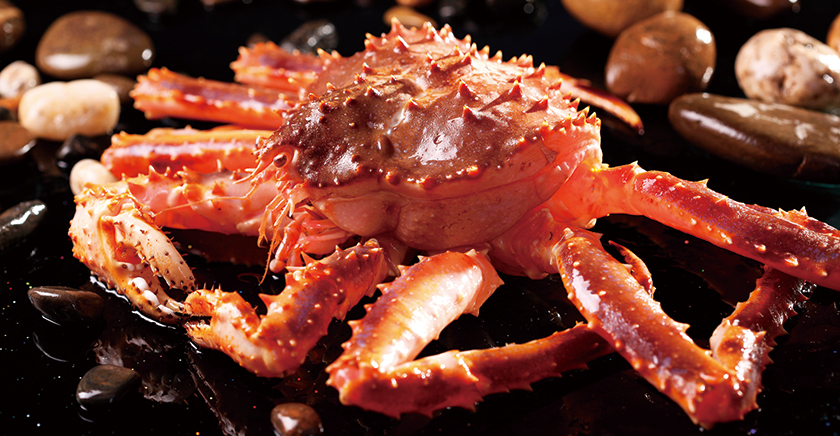 首鲜道客户案例