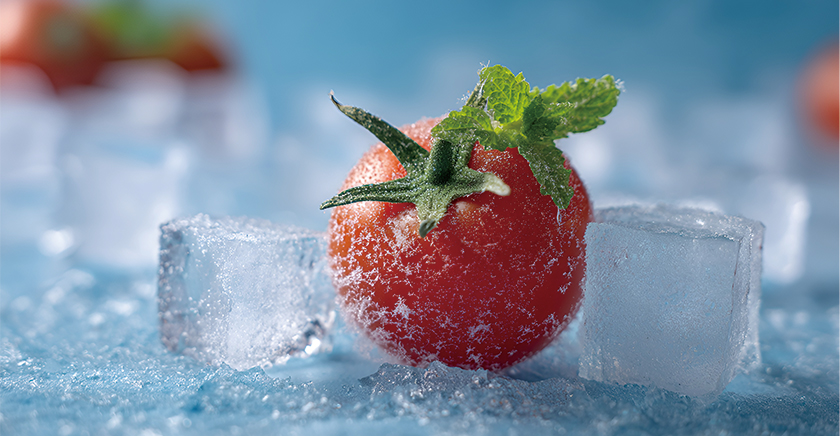 冷链云仓 解锁新鲜供应链的秘密