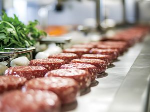 🥩牛羊肉片切生产线 效率快速提升