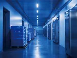 生鲜直播爆单 系统能扛住吗