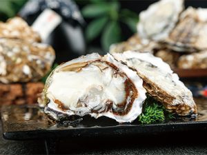 海鲜云仓加工发货指南